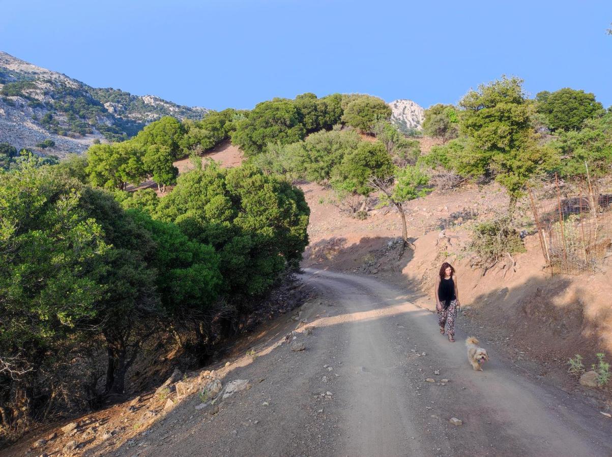 Kato Symi House Villa Káto Szími Kültér fotó