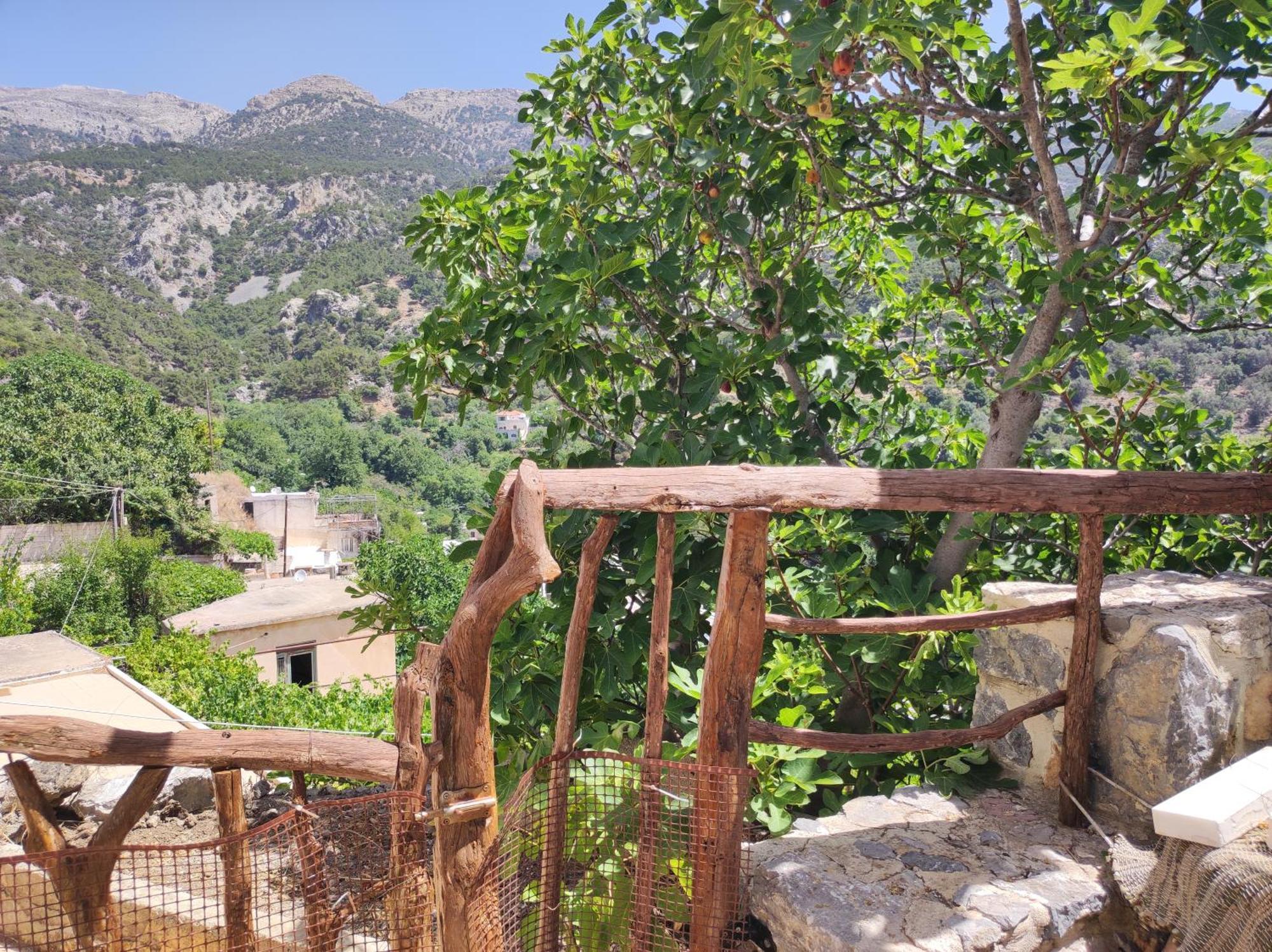Kato Symi House Villa Káto Szími Kültér fotó